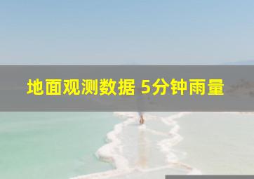 地面观测数据 5分钟雨量